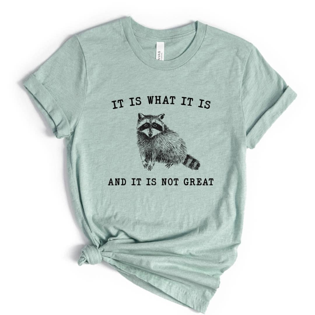 It What It is And It's Not Great Shirt {Pre-Order} Closes 3-15-2024