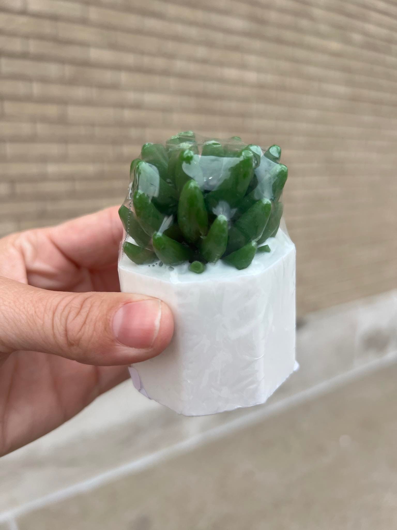 Succulent Soap