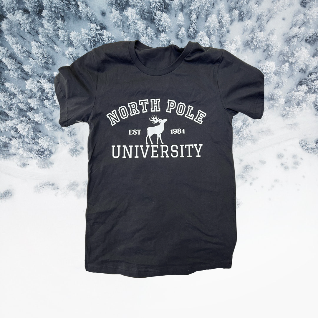 North Pole University